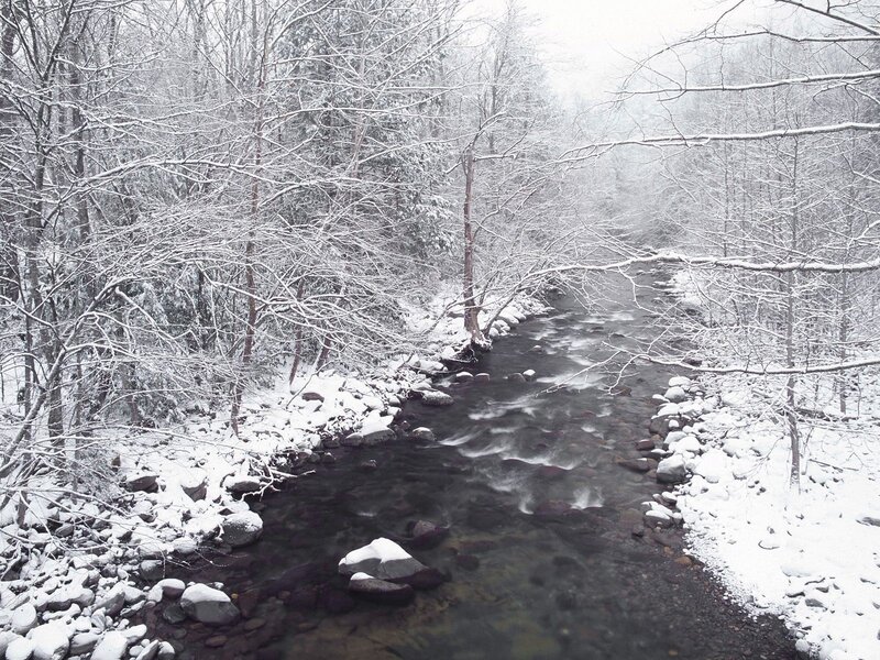Snowy stream in winter forest