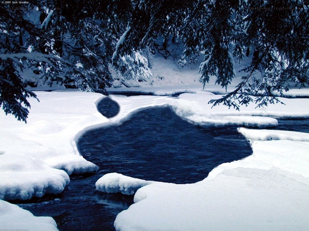 Snowy stream in winter forest