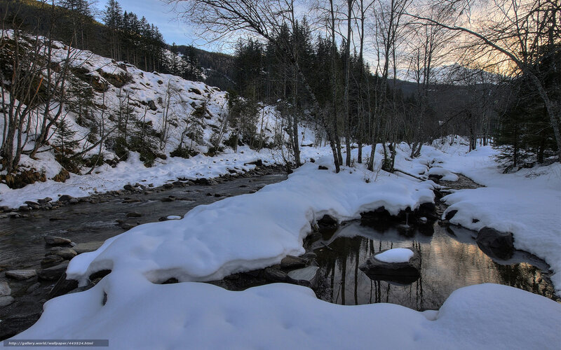 Snowy Stream in Winter Forest