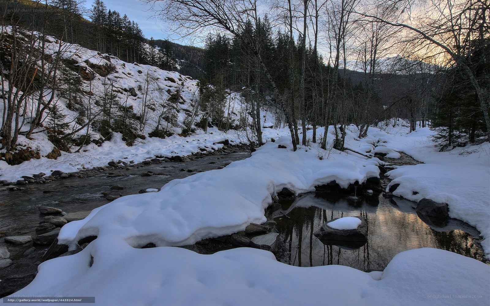 Snowy Stream in Winter Forest