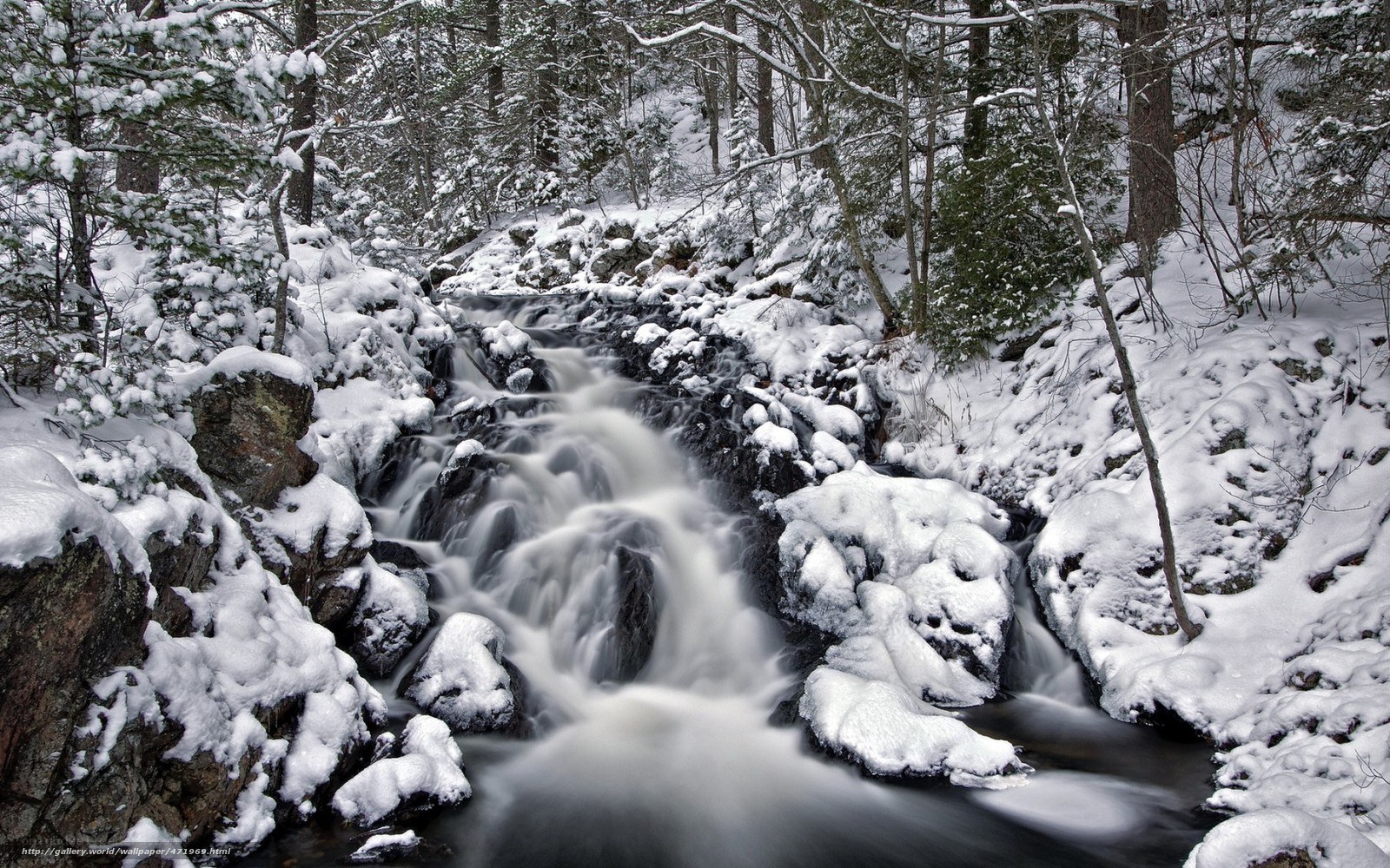 Snowy Stream in Winter Forest
