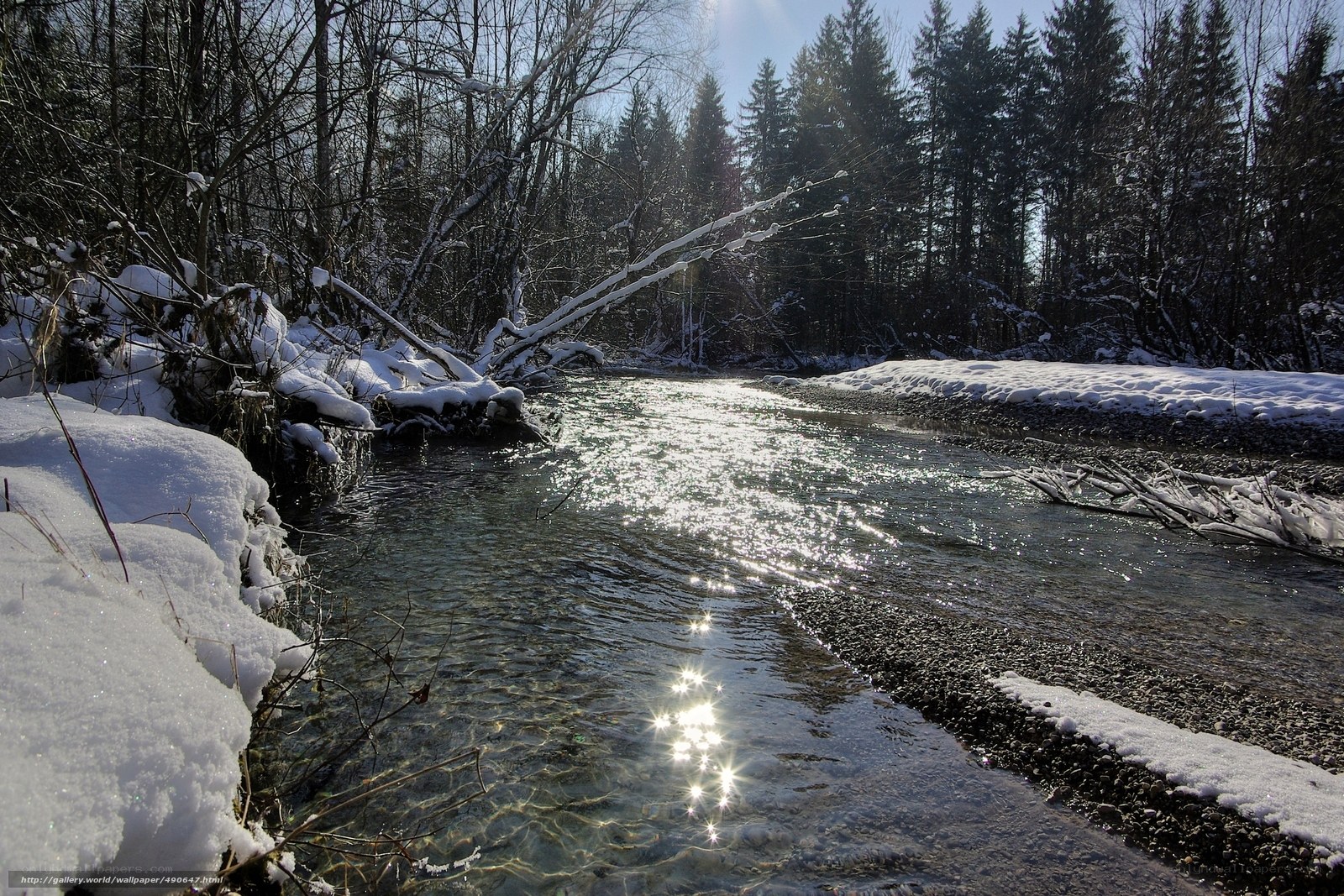 Snowy Stream in Winter Forest