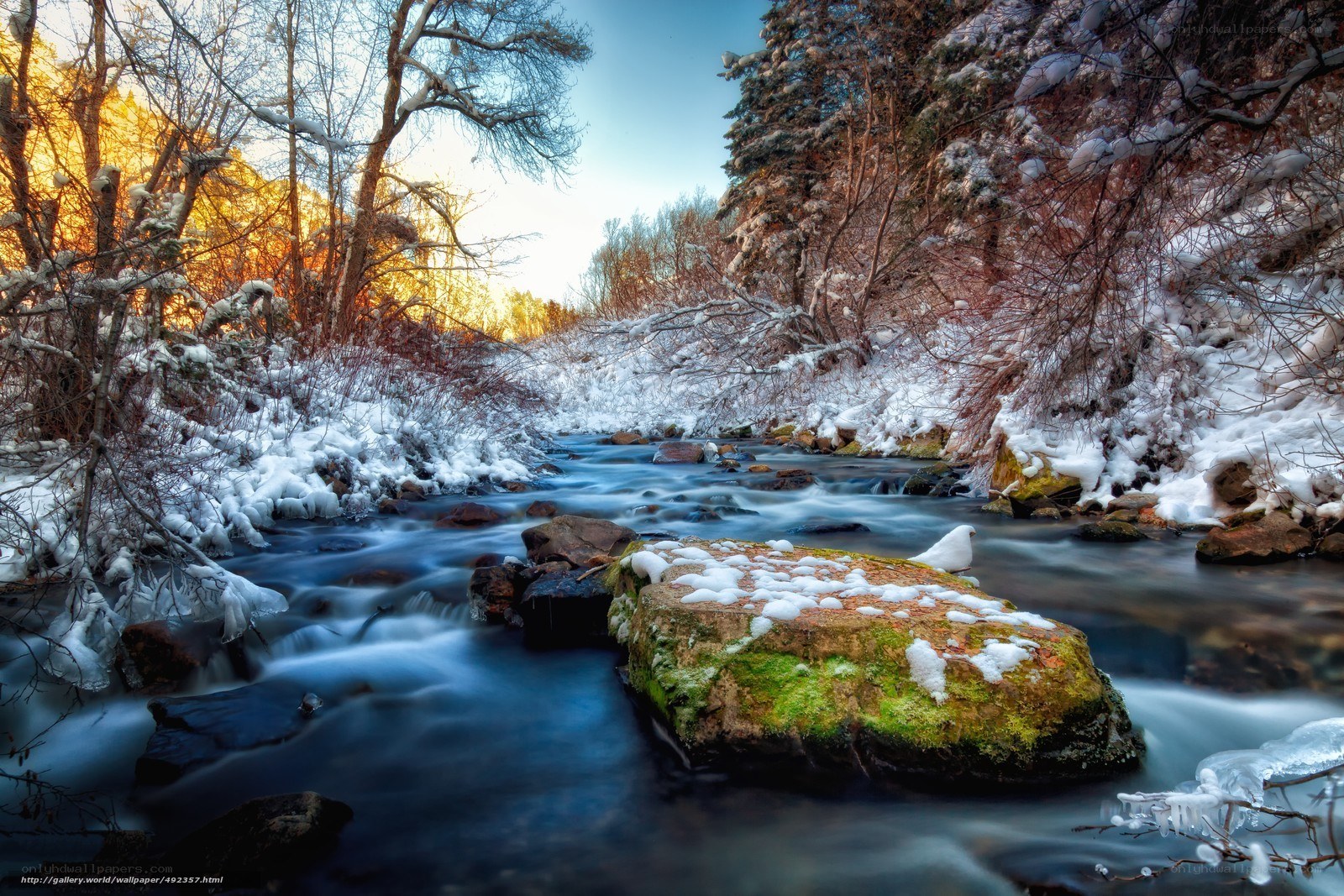 Snowy Stream in Winter Forest
