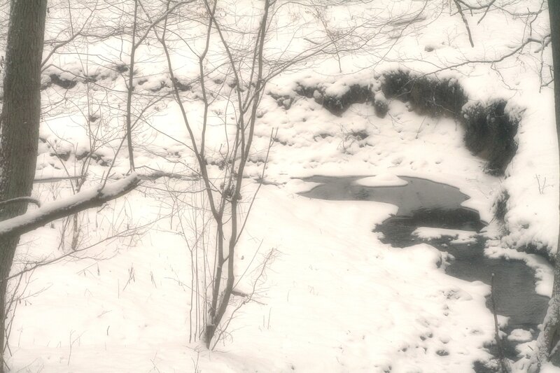 snowy stream in winter forest