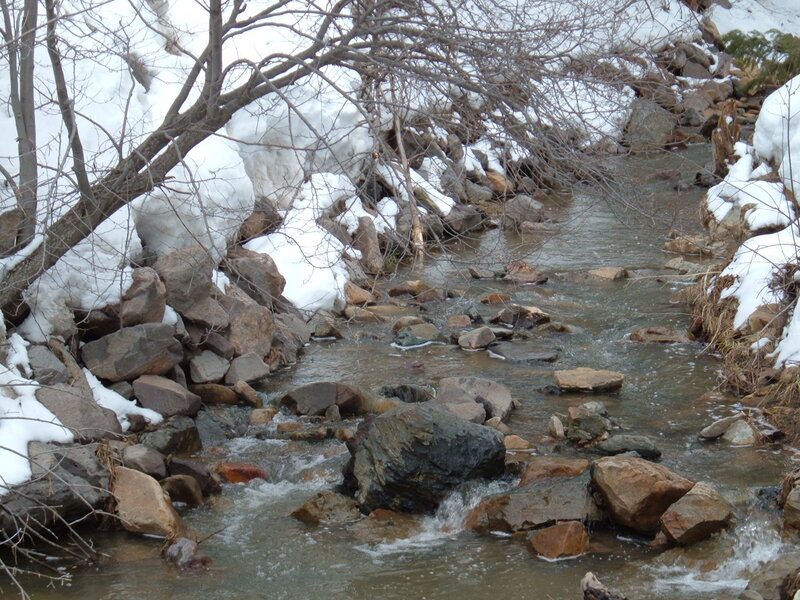 snowy stream with rocks