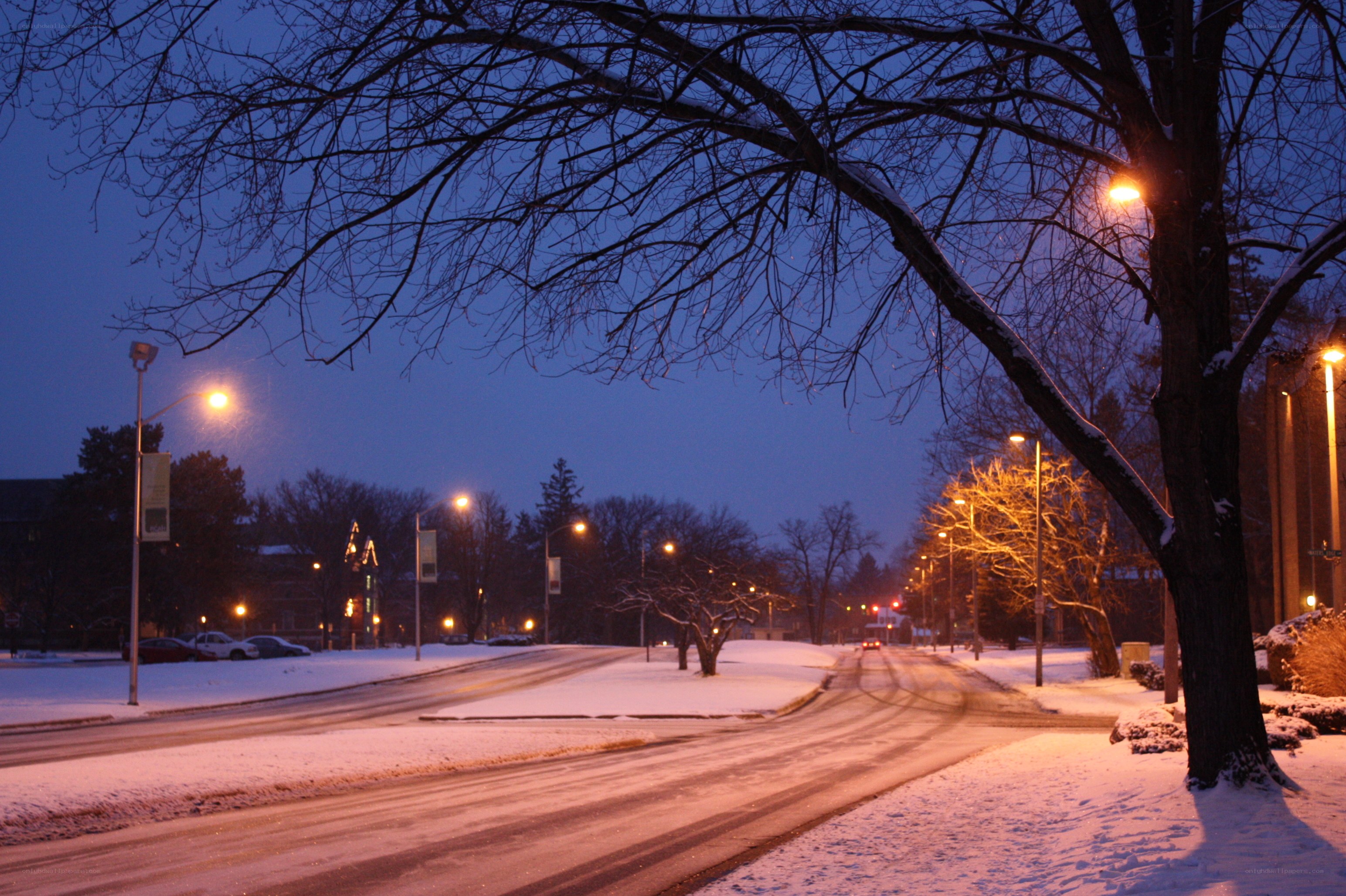 Snowy street at dusk