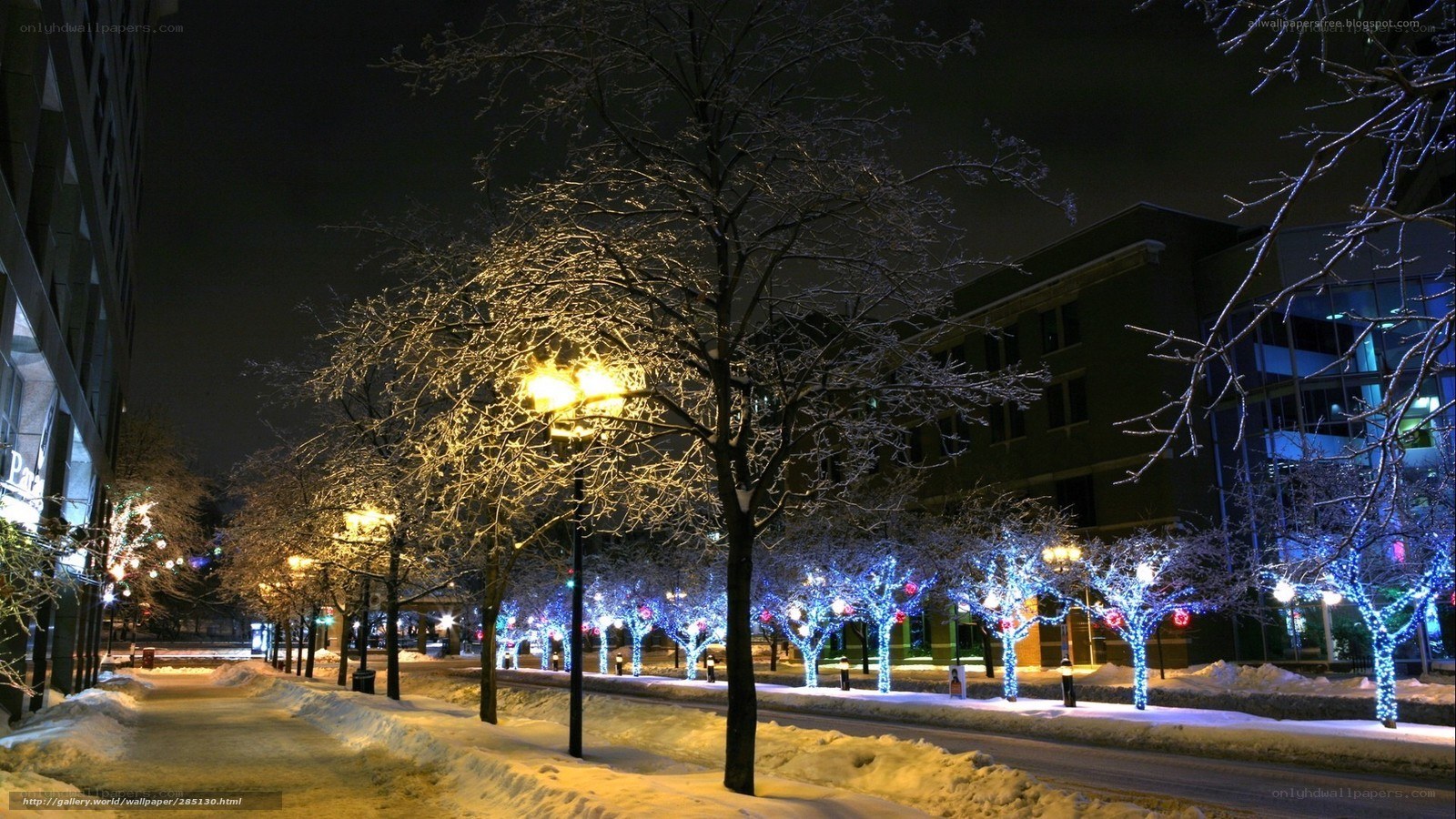 snowy street at night