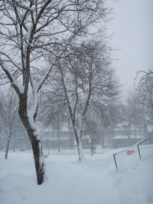Snowy street during a winter storm