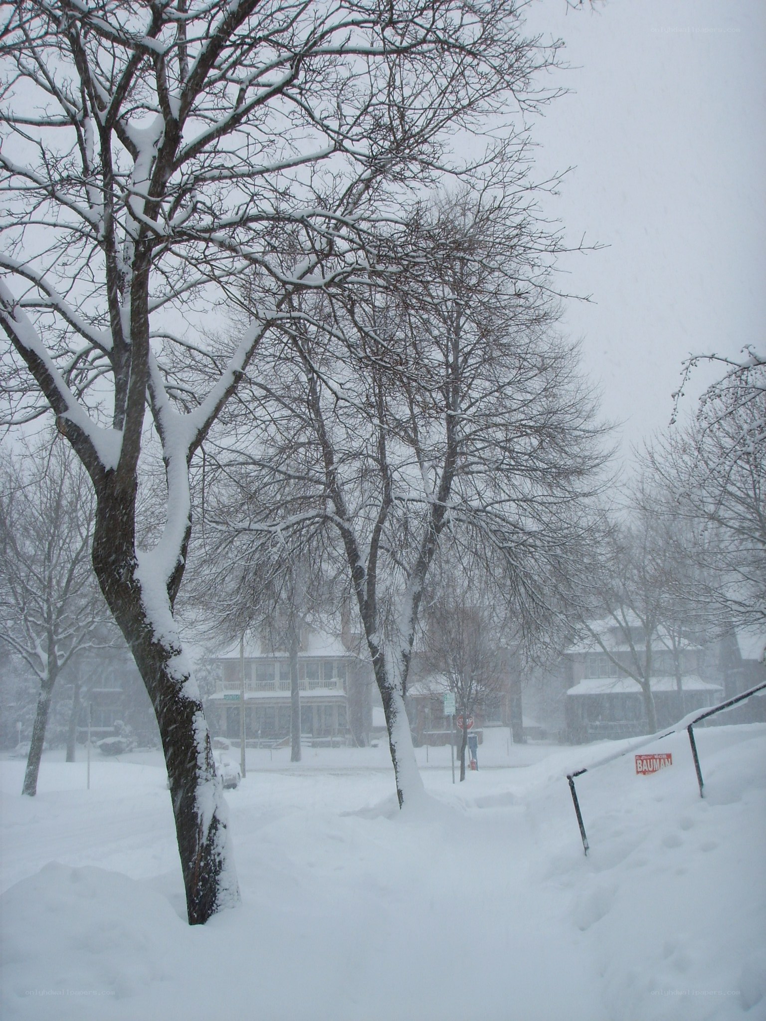 Snowy street during a winter storm