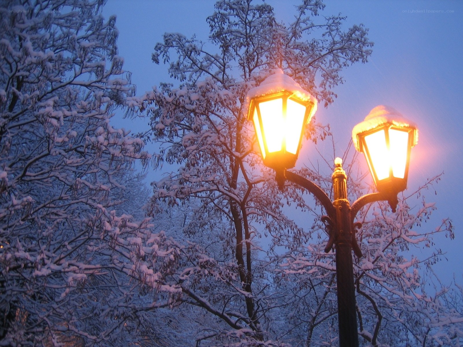Snowy street lamp at dusk