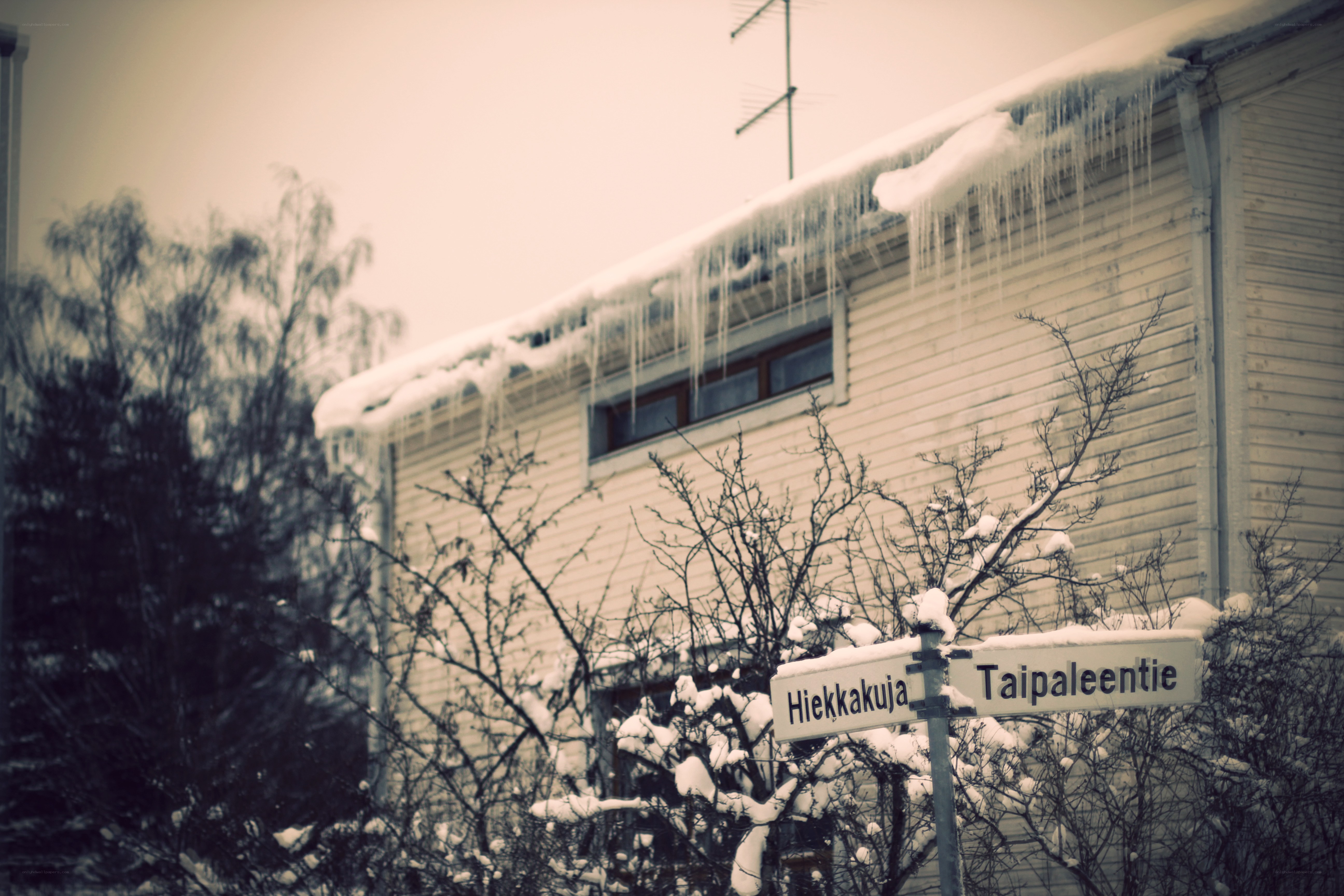 Snowy street signs in winter
