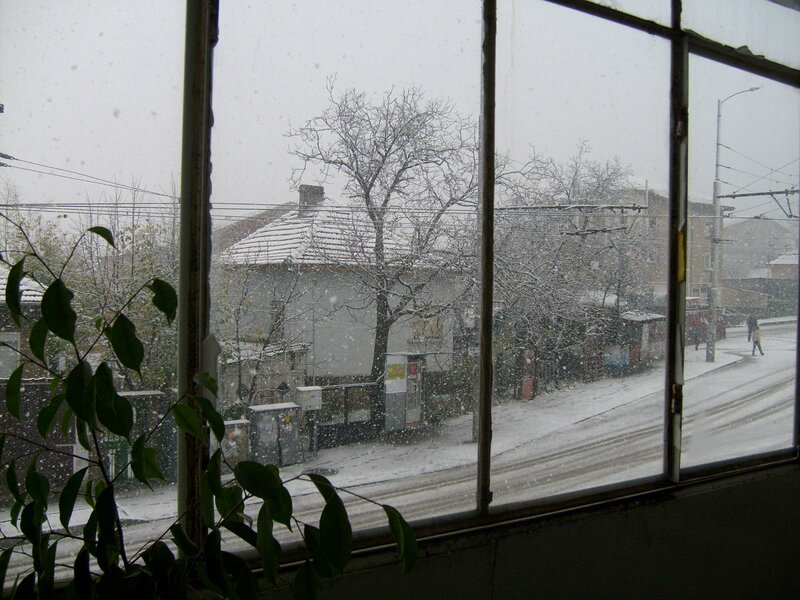 Snowy street view from window