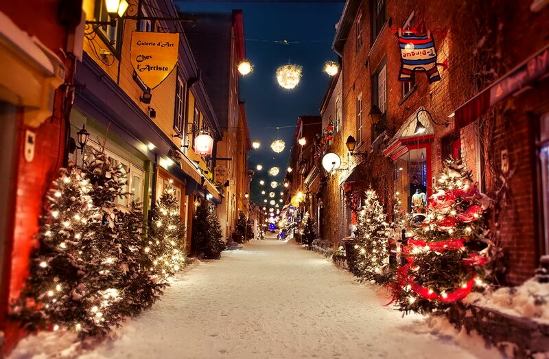 Snowy Street with Christmas Trees