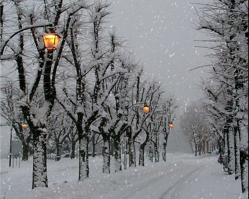 Snowy street with lampposts