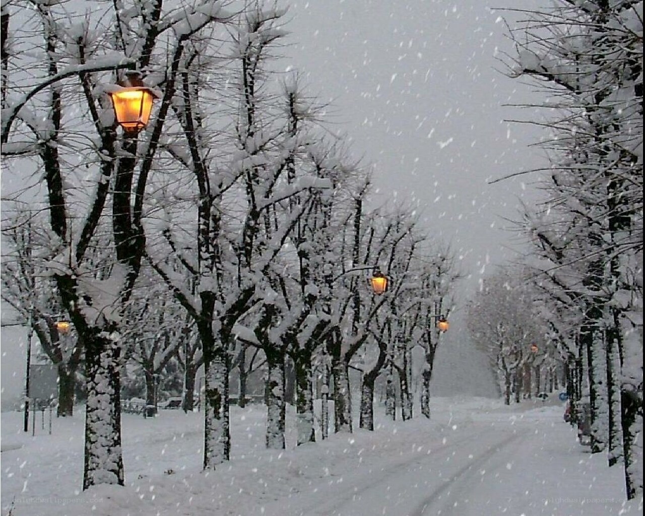 Snowy street with lampposts