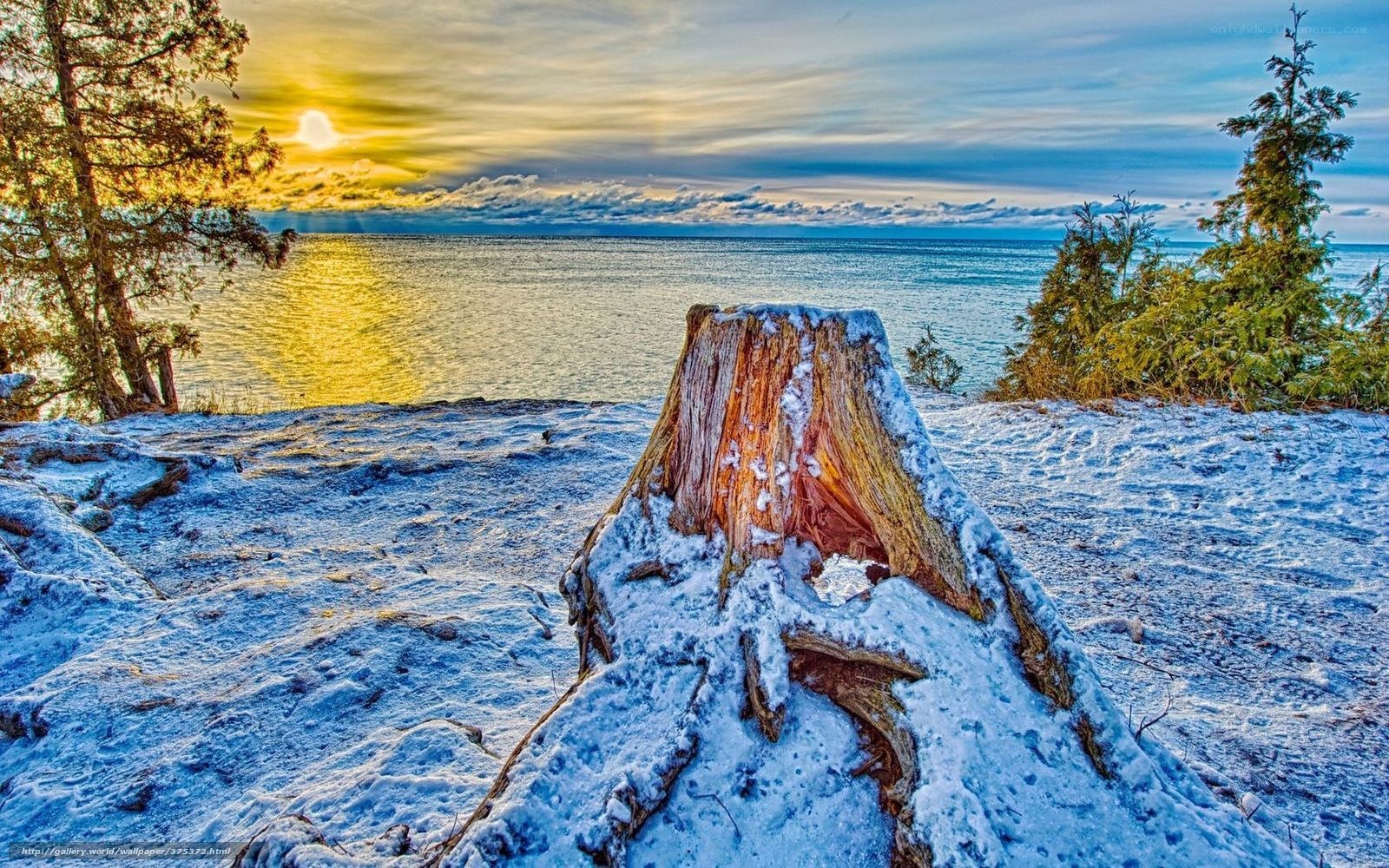 Snowy stump at sunset by the lake
