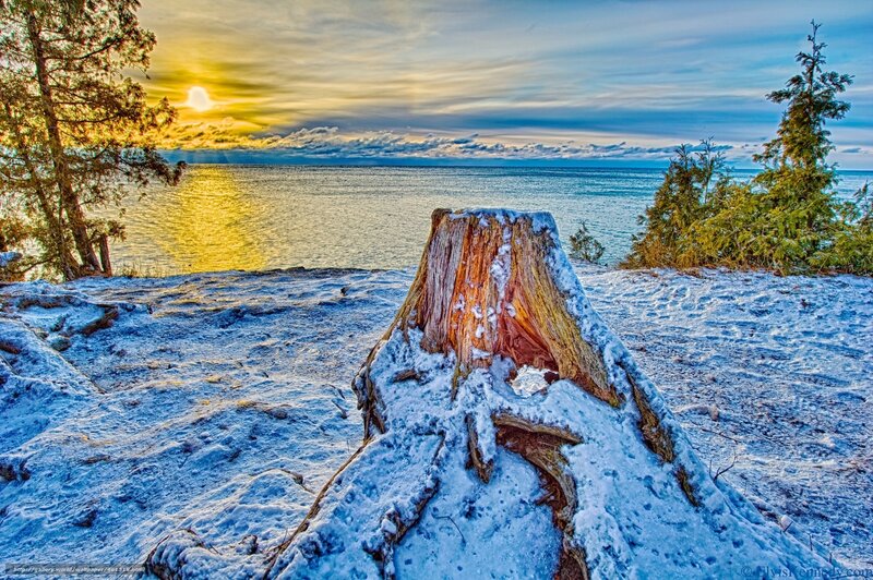 Snowy stump at sunset