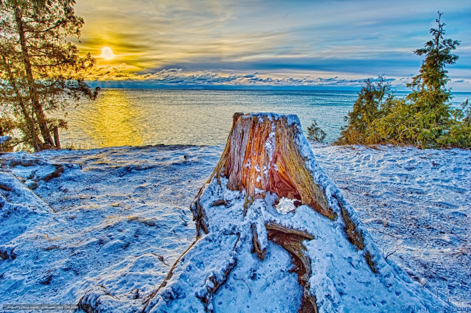 Snowy stump at sunset