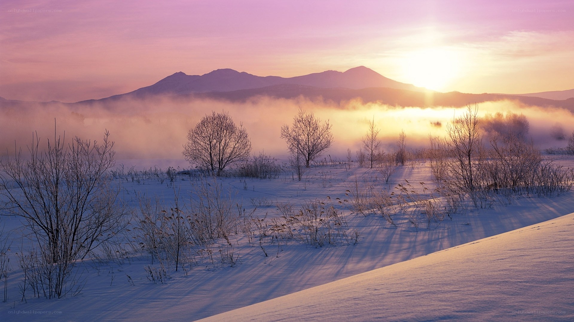 Snowy sunrise over misty mountains