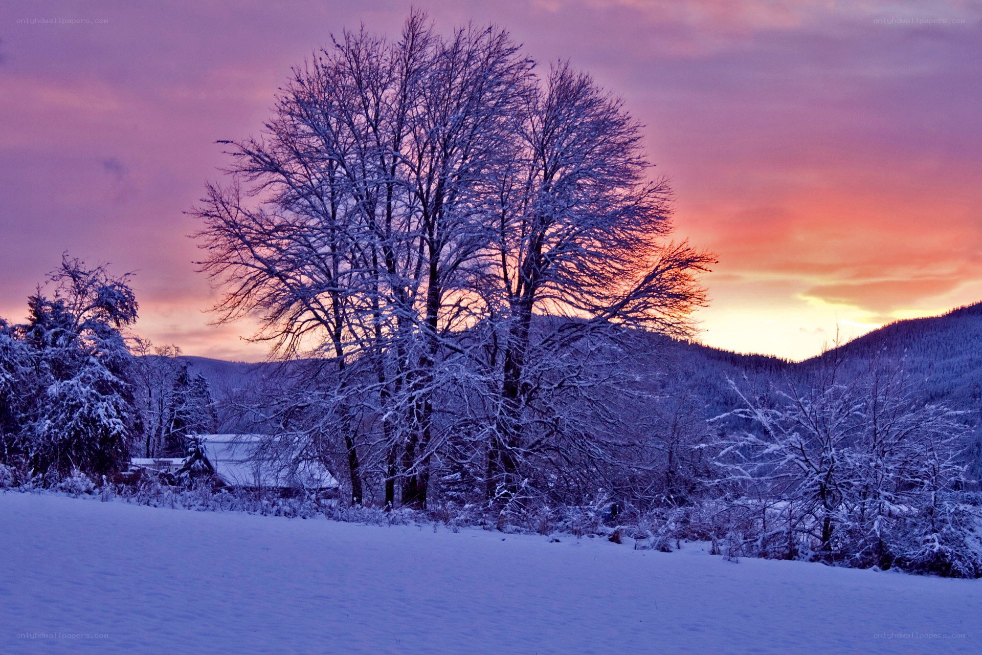 Snowy sunset over forested hills