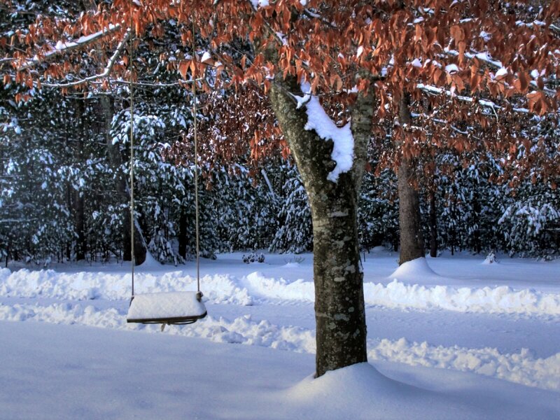 Snowy swing in winter forest