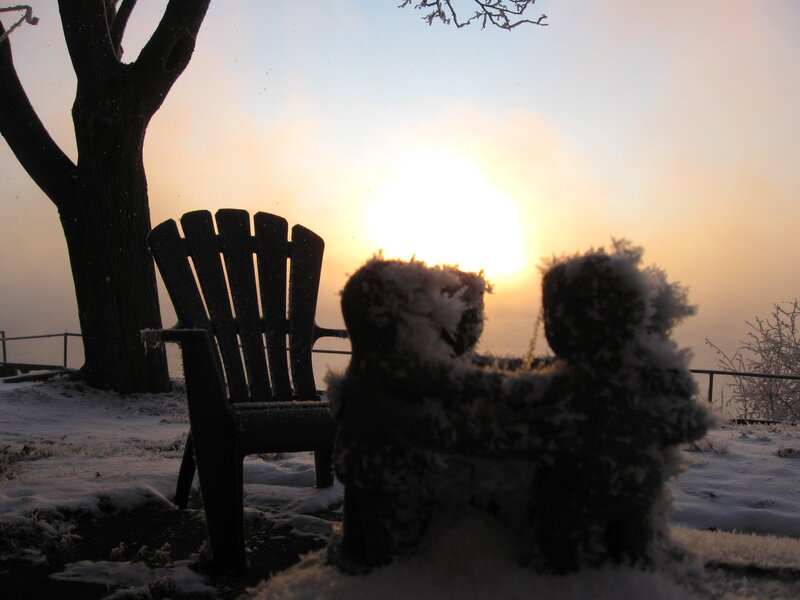 Snowy teddy bears at sunset