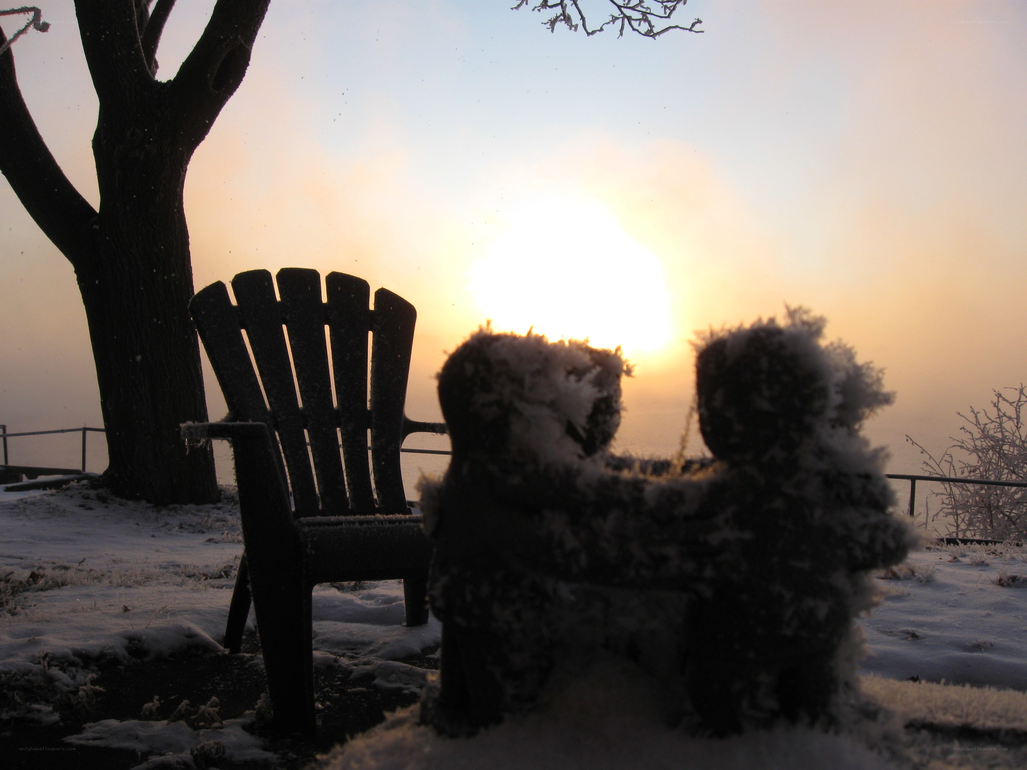 Snowy teddy bears at sunset
