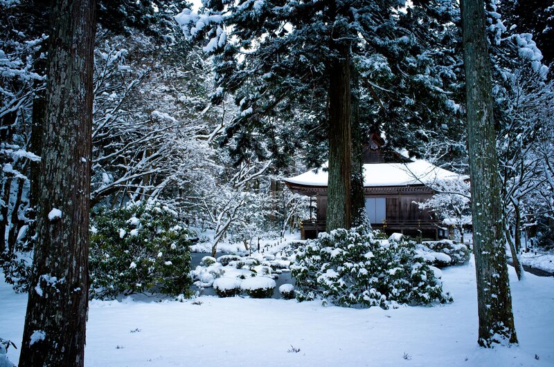 Snowy temple in forest