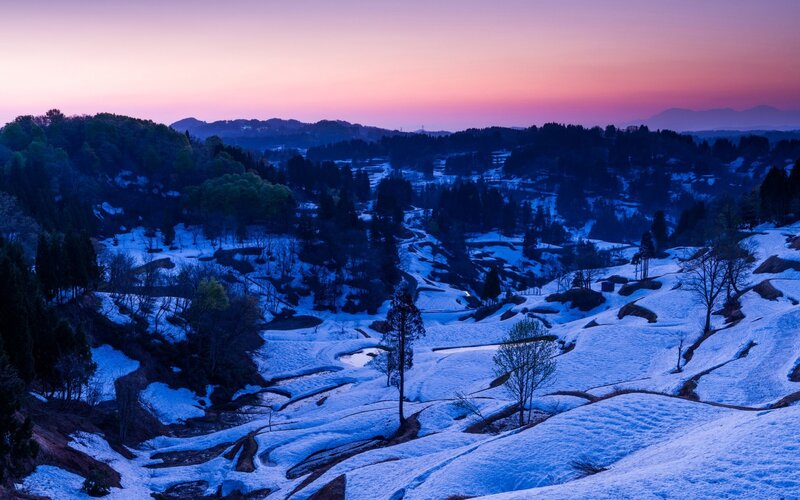Snowy terraced fields at dusk
