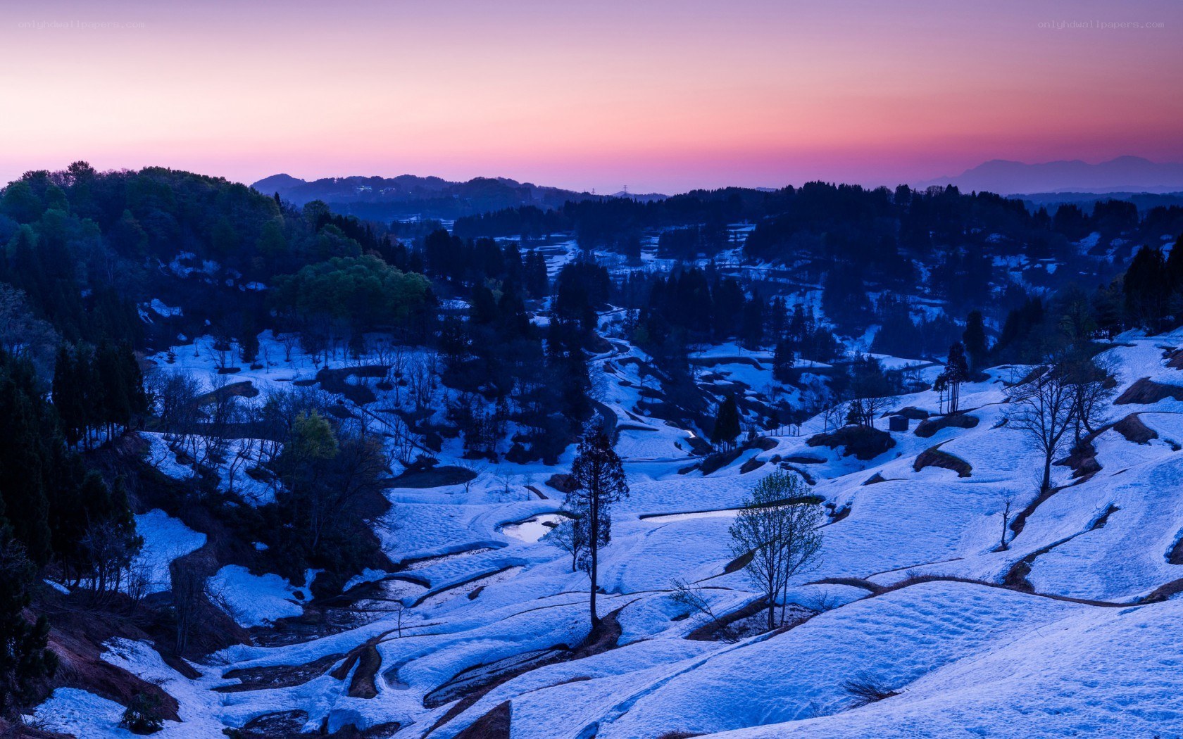 Snowy terraced fields at dusk