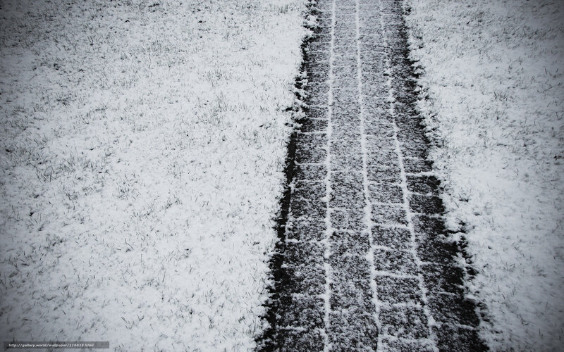 Snowy tire tracks on grass