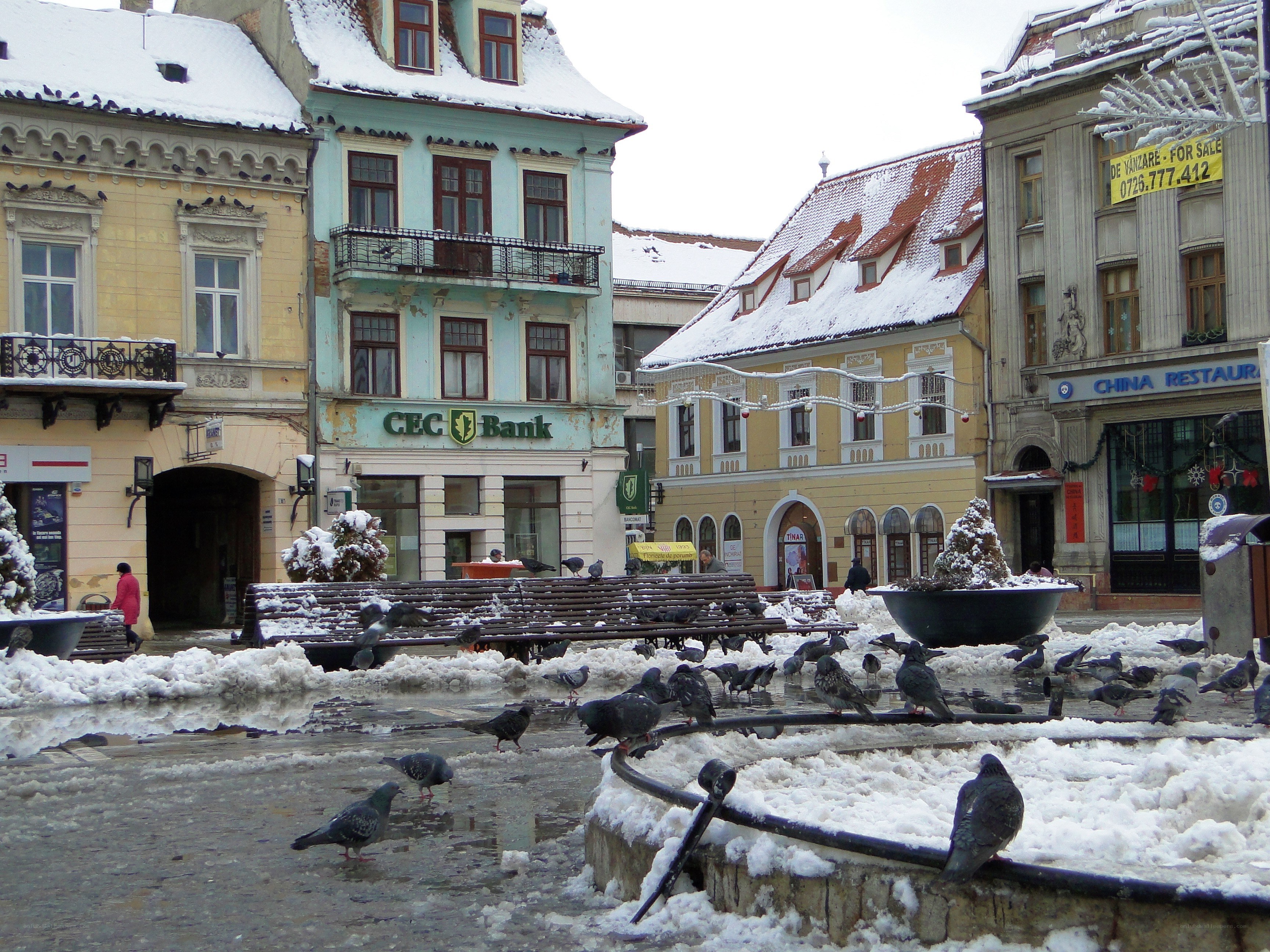 Snowy town square with pigeons