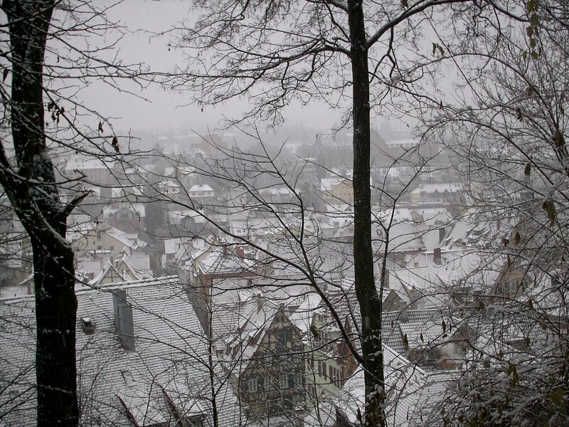 snowy town view from trees