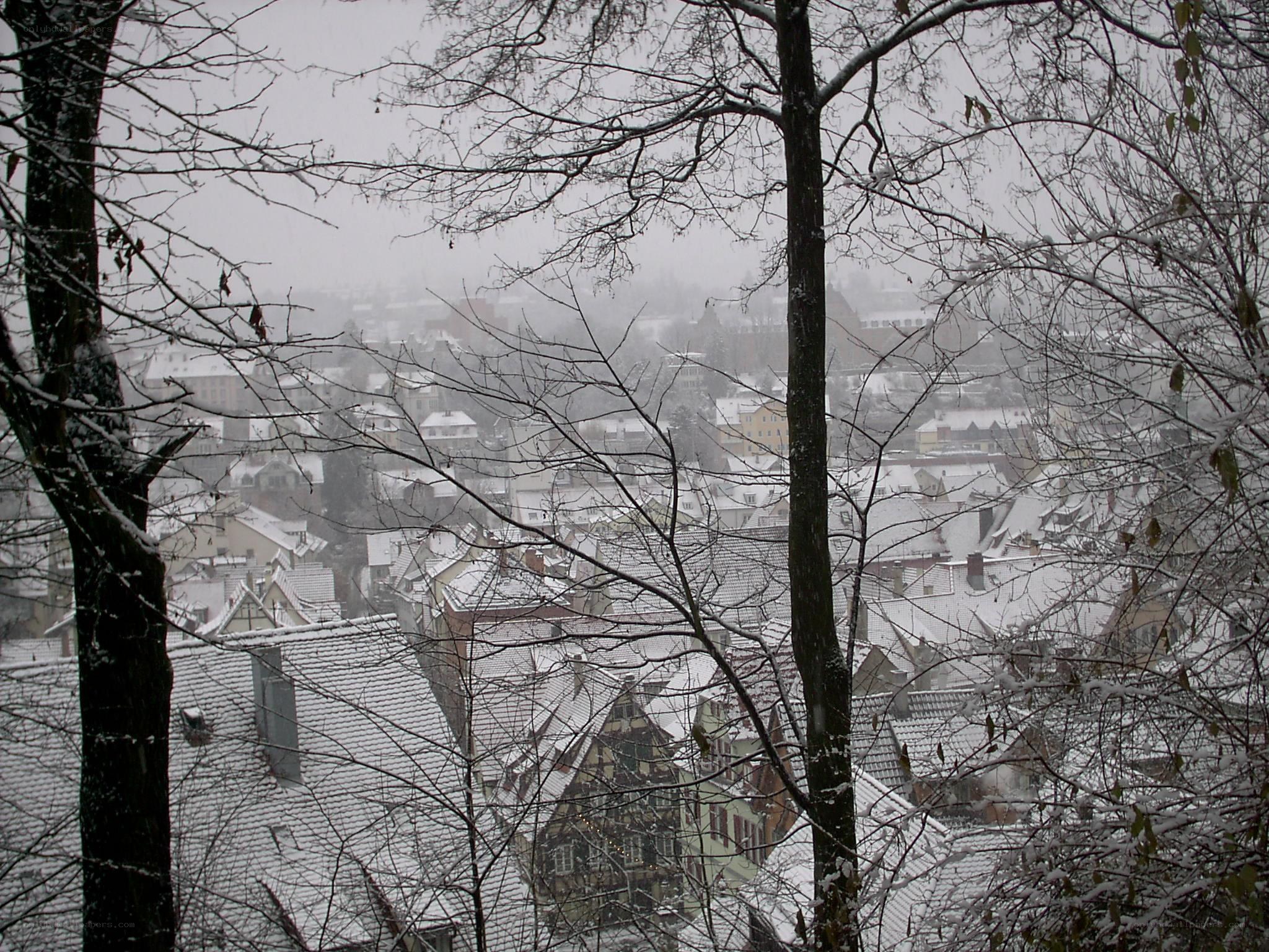 snowy town view from trees