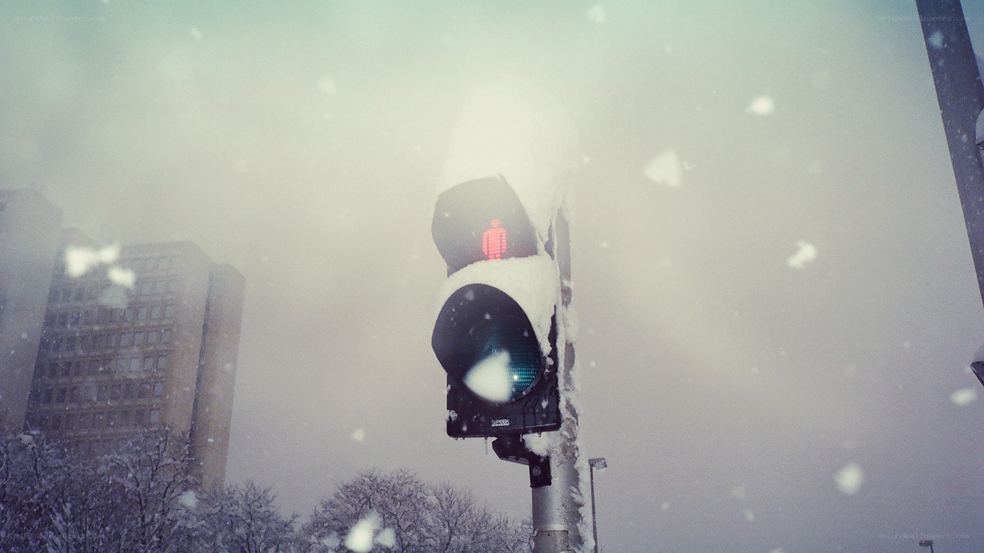 Snowy traffic light in winter