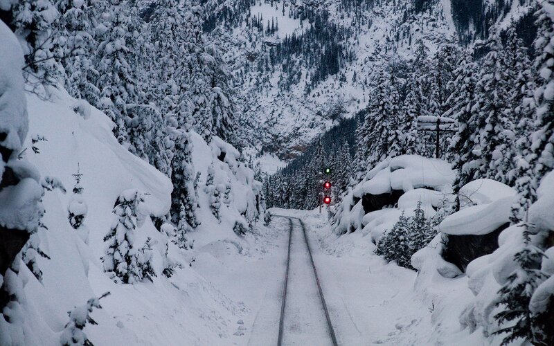 Snowy train tracks in a forest