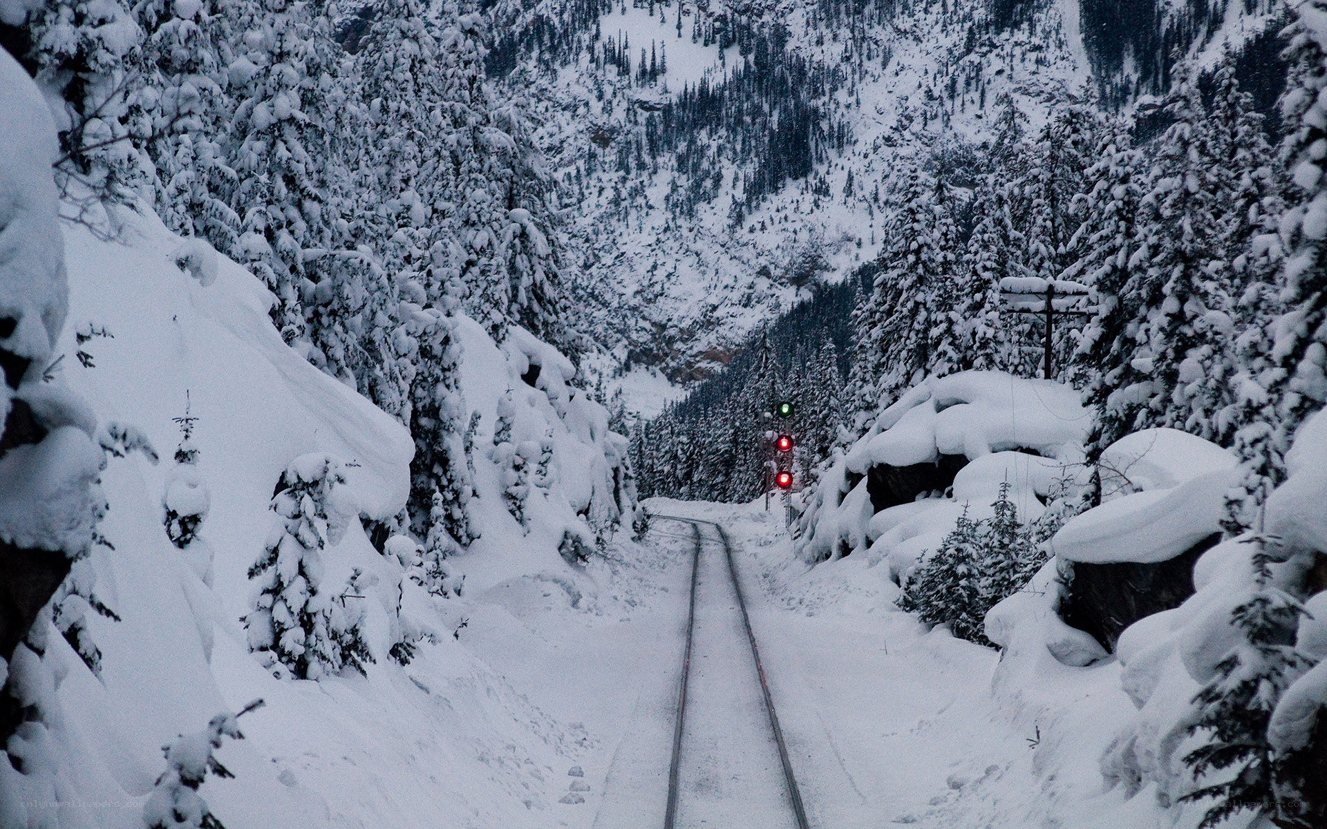 Snowy train tracks in a forest