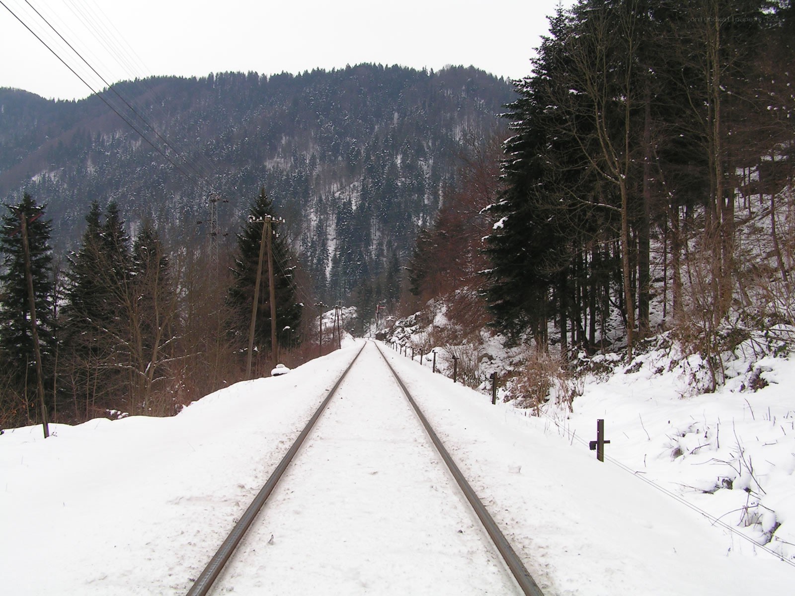 Snowy train tracks in forest
