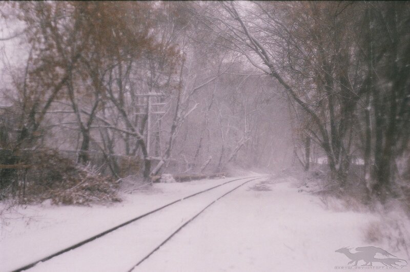 Snowy train tracks in forest