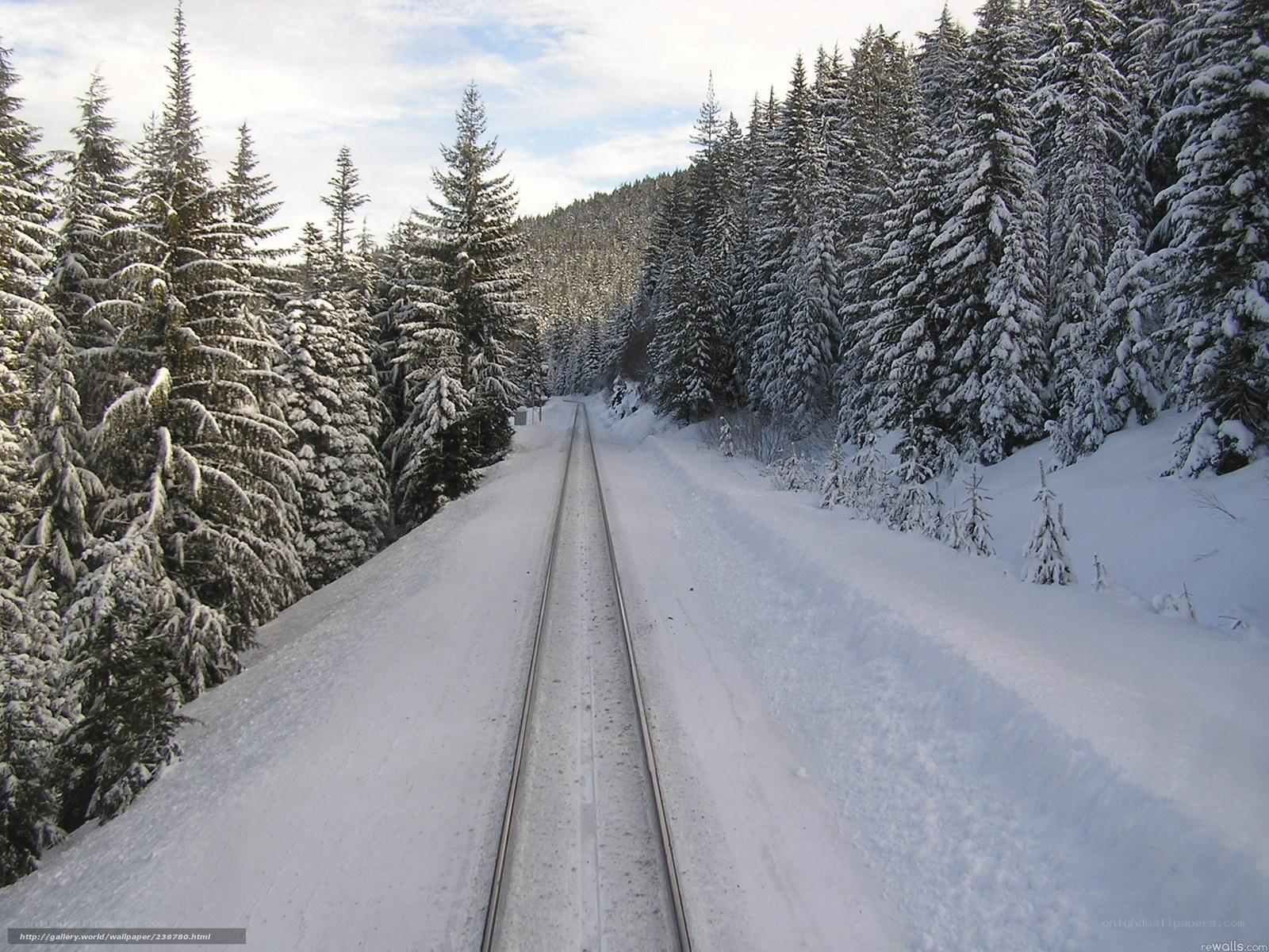 Snowy train tracks in forest