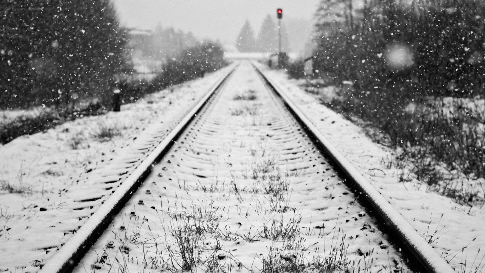 snowy train tracks in winter