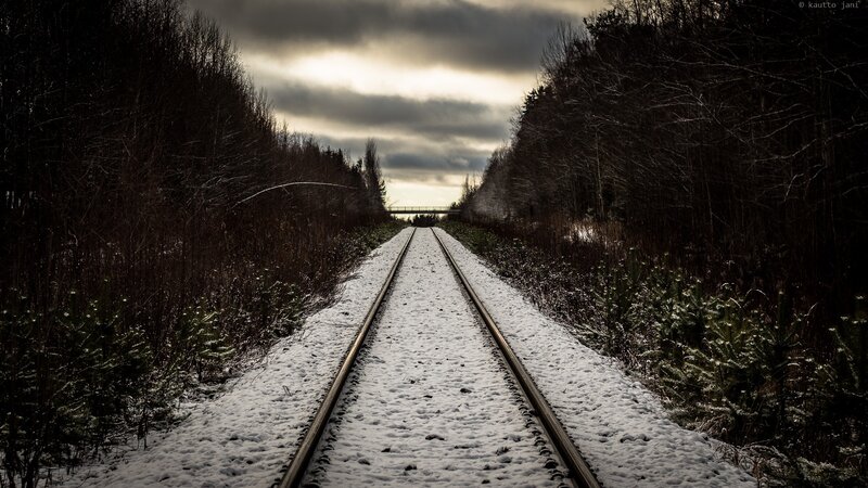 Snowy train tracks in winter forest