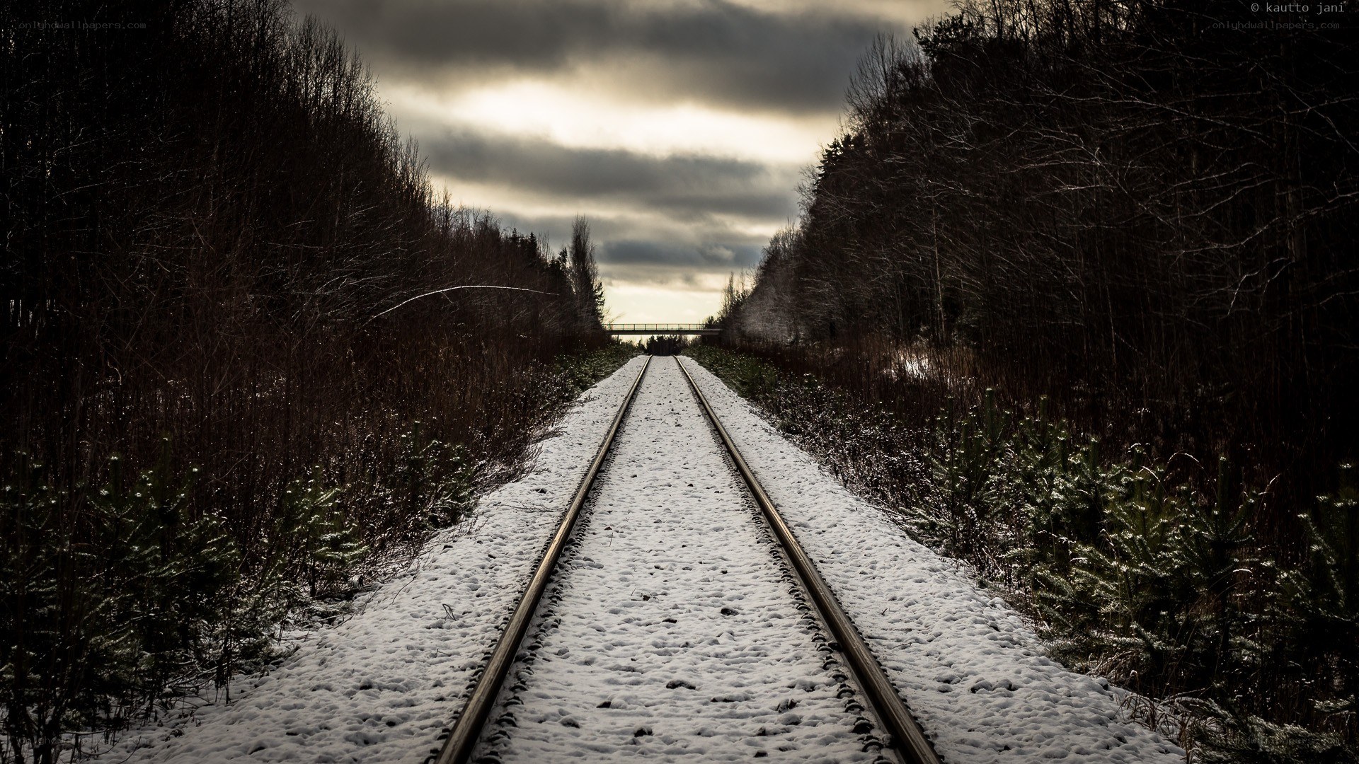 Snowy train tracks in winter forest