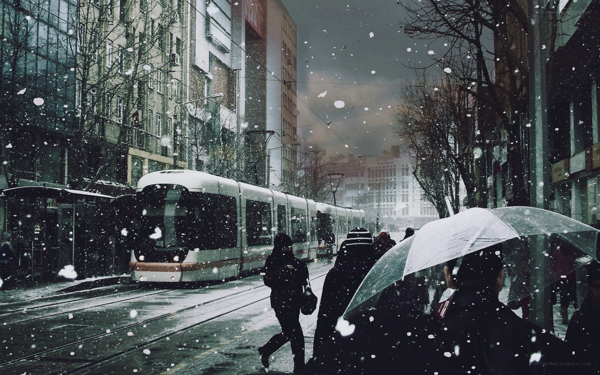 Snowy tram in city