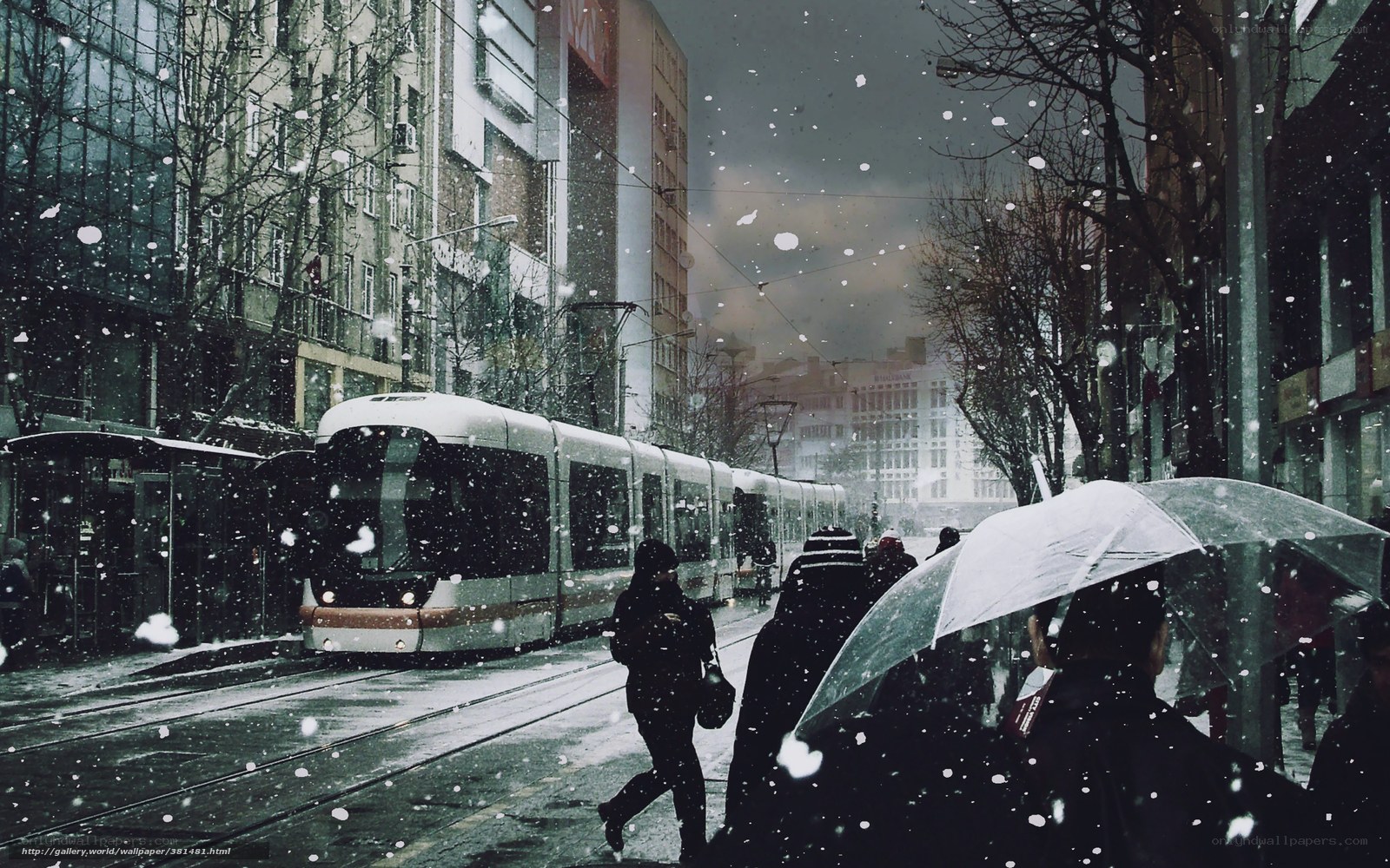 Snowy Tram in City