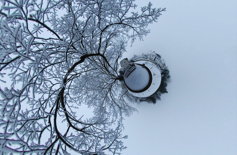 Snowy tree and village in a sphere