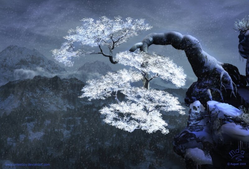 Snowy tree on a mountain