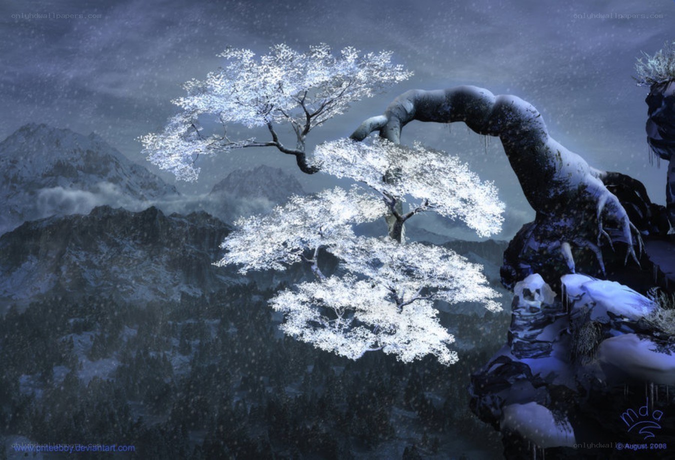 Snowy tree on a mountain