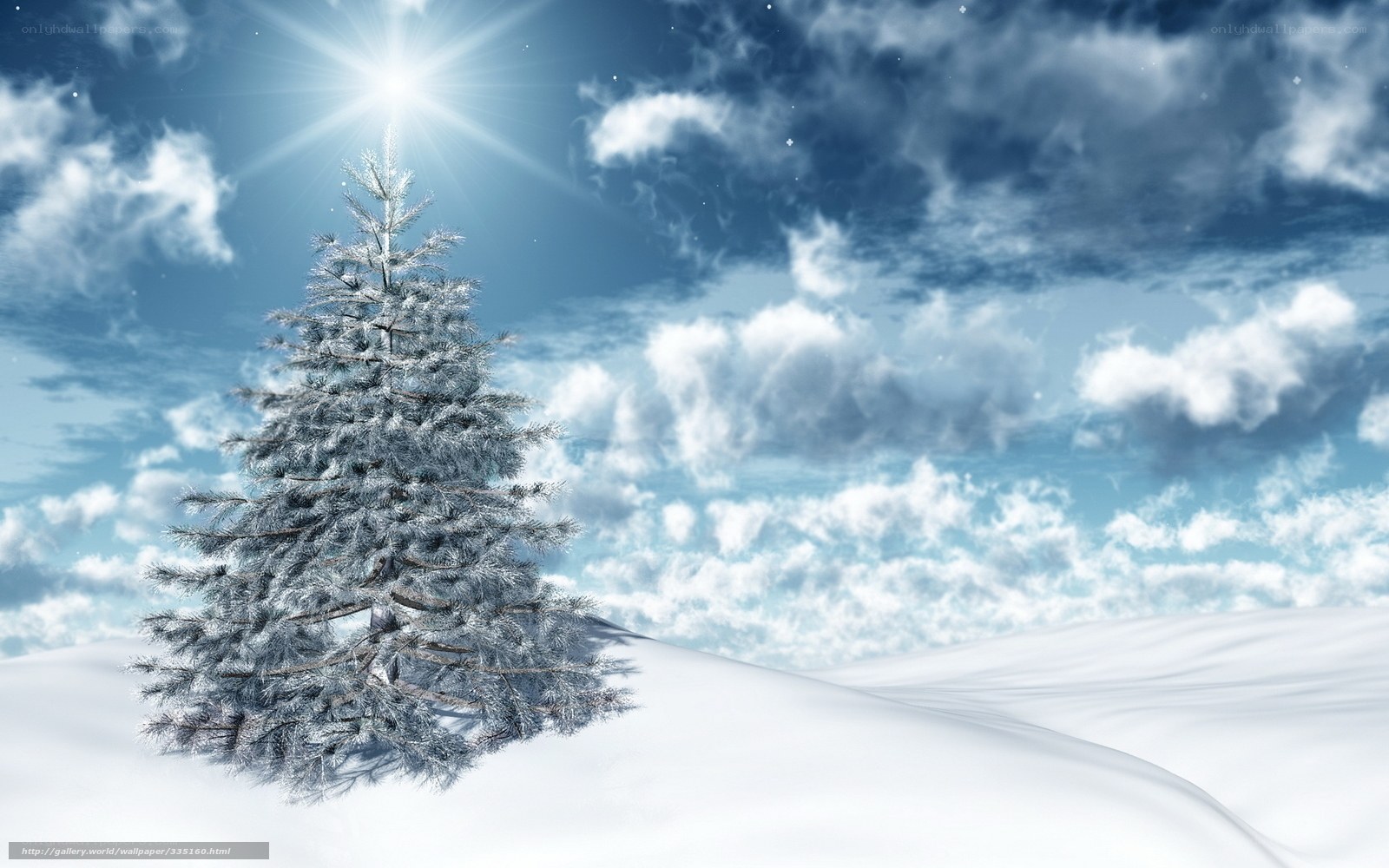 Snowy tree under bright sun