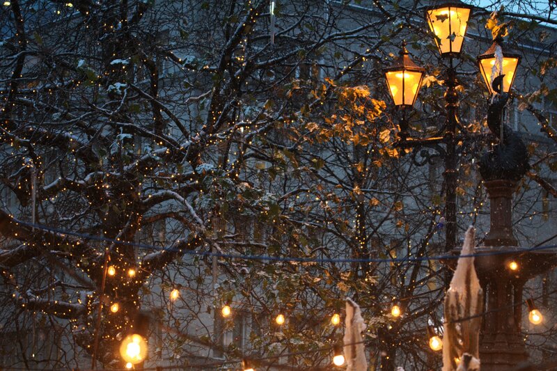 Snowy Tree with Lights — Black